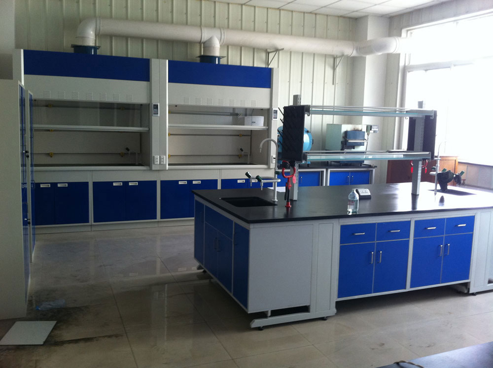 實(shí)驗(yàn)室通風(fēng)柜（標(biāo)準(zhǔn)型、補(bǔ)風(fēng)型、聯(lián)體型、桌上型、落地式、不銹鋼通風(fēng)柜）